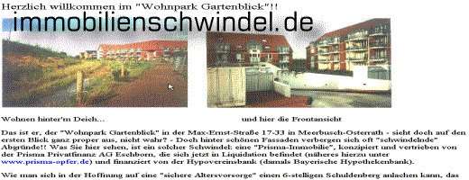 http://www.immobilienschwindel.de